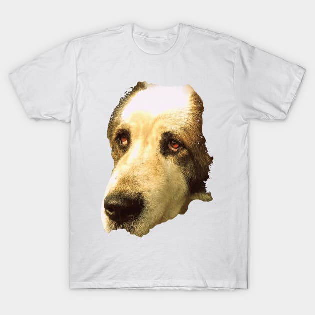 big sad dog T-Shirt by Hujer